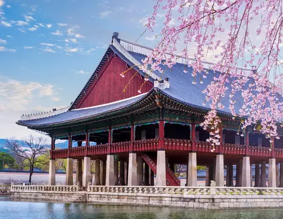 South Korea 8 Days & 7 Nights Tour Package